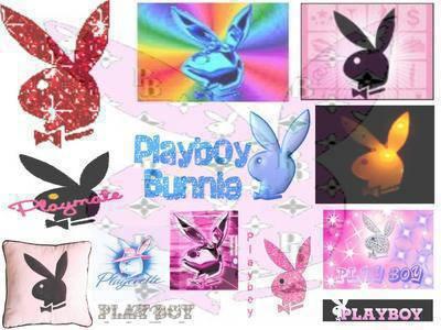 play boy